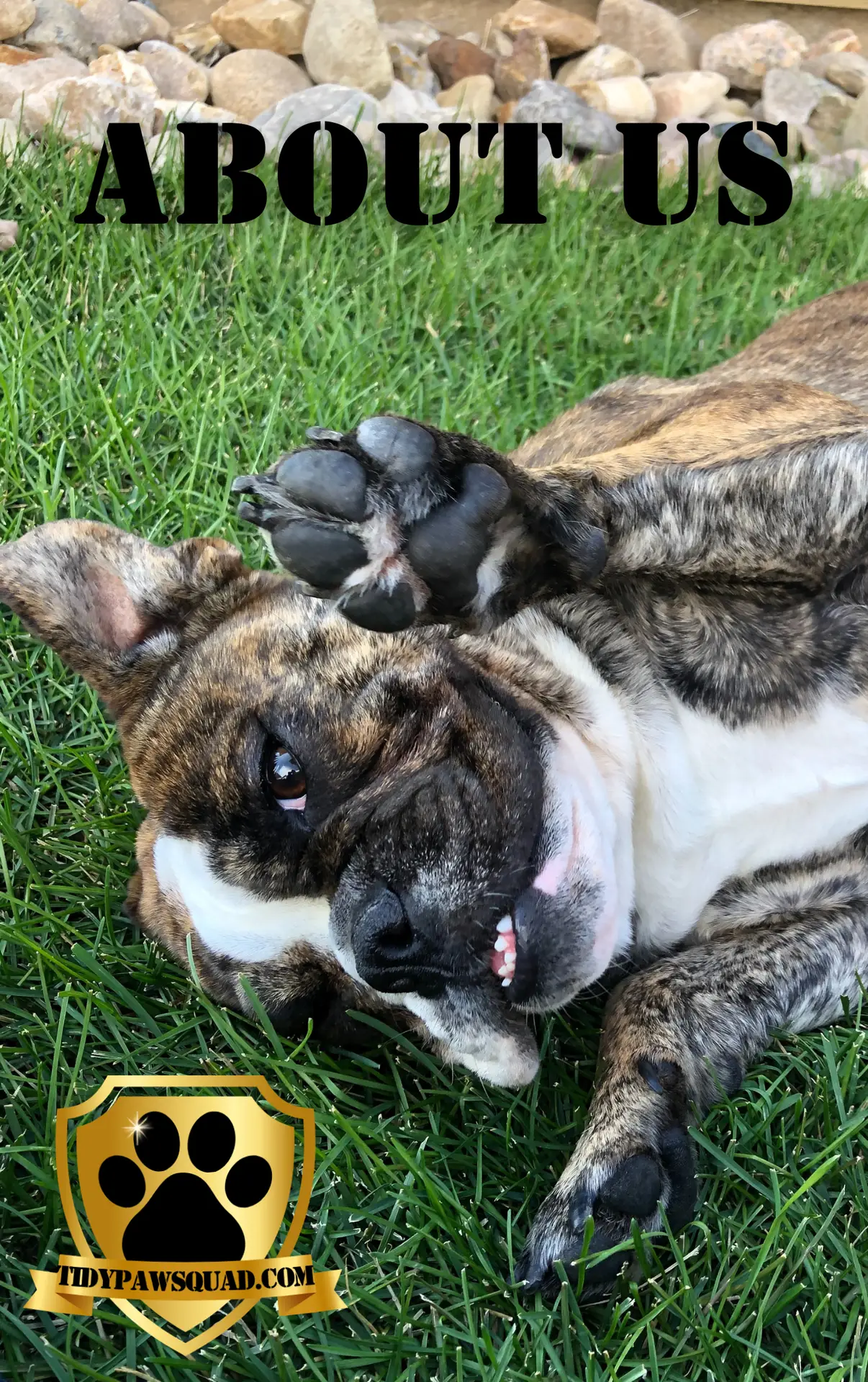 Maggie waiving hi for Tidy Paw Squad