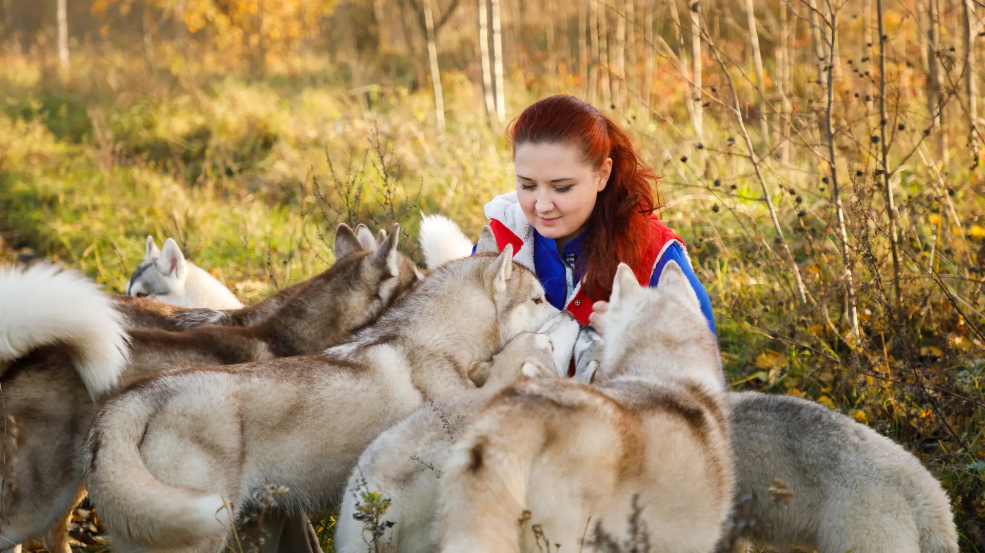 Dog Breeder for Tidy Paw Squad