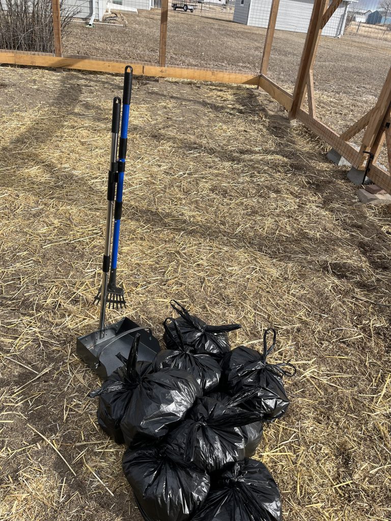 A freshly cleaned yard with bags of removed dog waste neatly placed, highlighting the effective pet waste removal services of Tidy Paw Squad.
